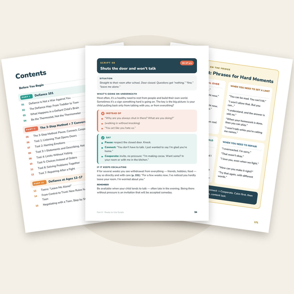 EN · Inside the book: contents, a script and the cheat sheet